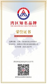 灣區(qū)知名品牌證書